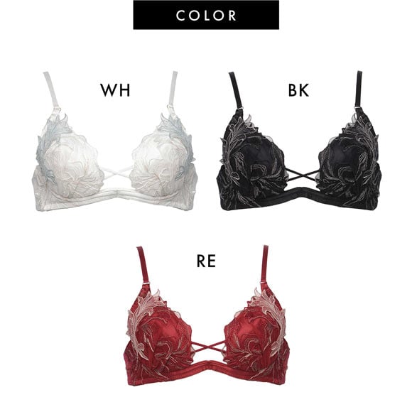 ラヴィジュール クラリス トリックリフト ブラジャー EFG 盛り 谷間 バストアップ リフトアップ 大きいサイズ RAVIJOUR