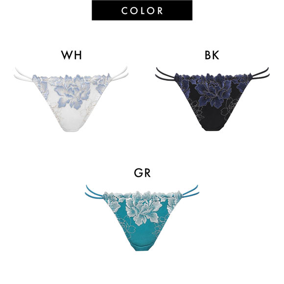 ラヴィジュール ルナリア エンブロイダリーレース ノーマルショーツ SM バックレース 透け RAVIJOUR