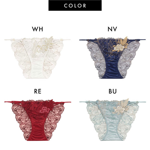 ラヴィジュール フェザーセレステ エンブロイダリーレースショーツ ノーマルショーツ SM バックレース 透け RAVIJOUR