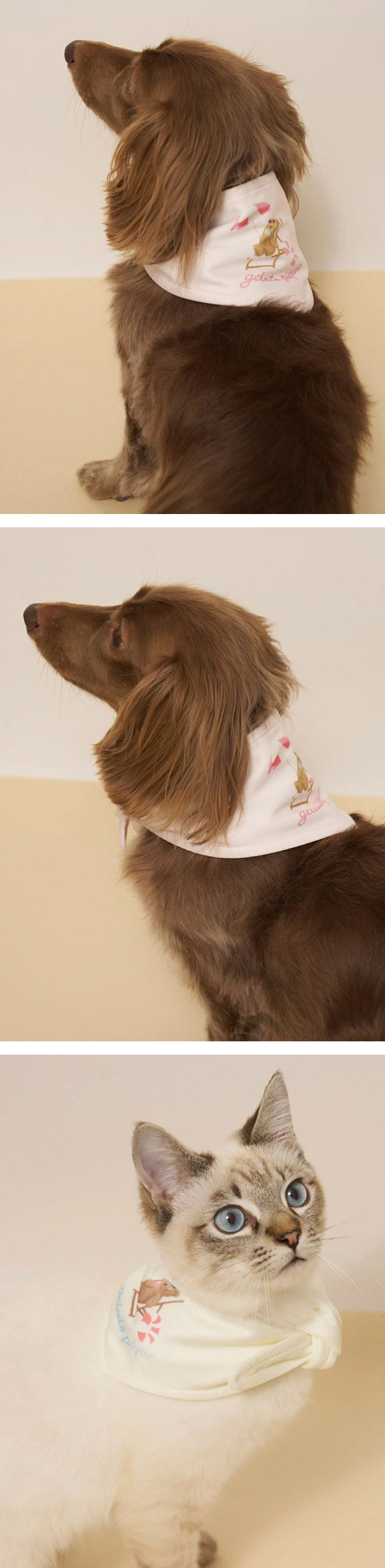 ジェラートピケ CAT&DOG サマーベア柄保冷剤入れバンダナ ジェラピケ gelato pique