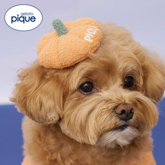 ジェラートピケ CAT&DOG HALLOWEEN パンプキンヘアクリップ ジェラピケ gelato pique ハロウィン
