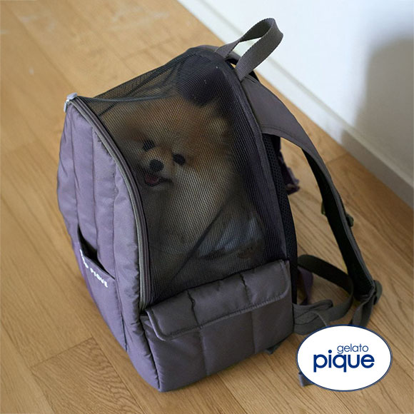 ジェラートピケ CAT&DOG リュックキャリー ジェラピケ gelato pique