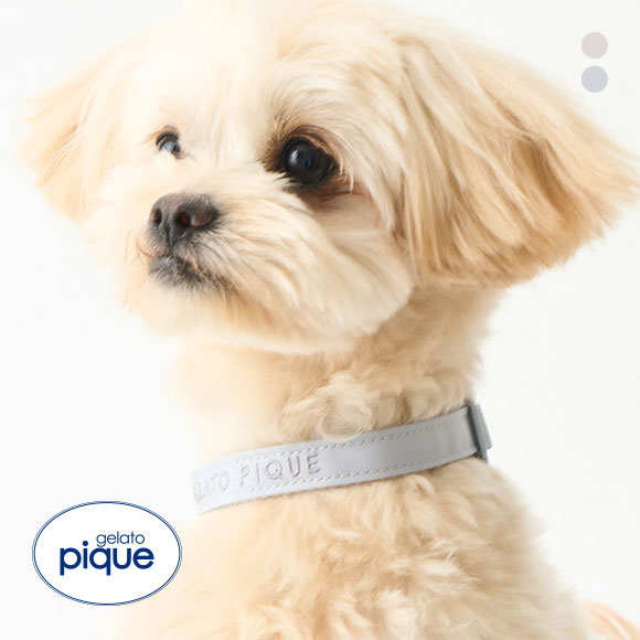 ジェラートピケ CAT&DOG 販路限定商品 首輪 gelato pique