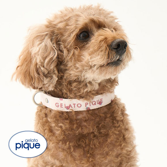 ジェラートピケ CAT&DOG 販路限定商品 モチーフ柄首輪 gelato pique