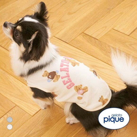ジェラートピケ CAT&DOG スポーティーベア柄カットソープルオーバー gelato piqu