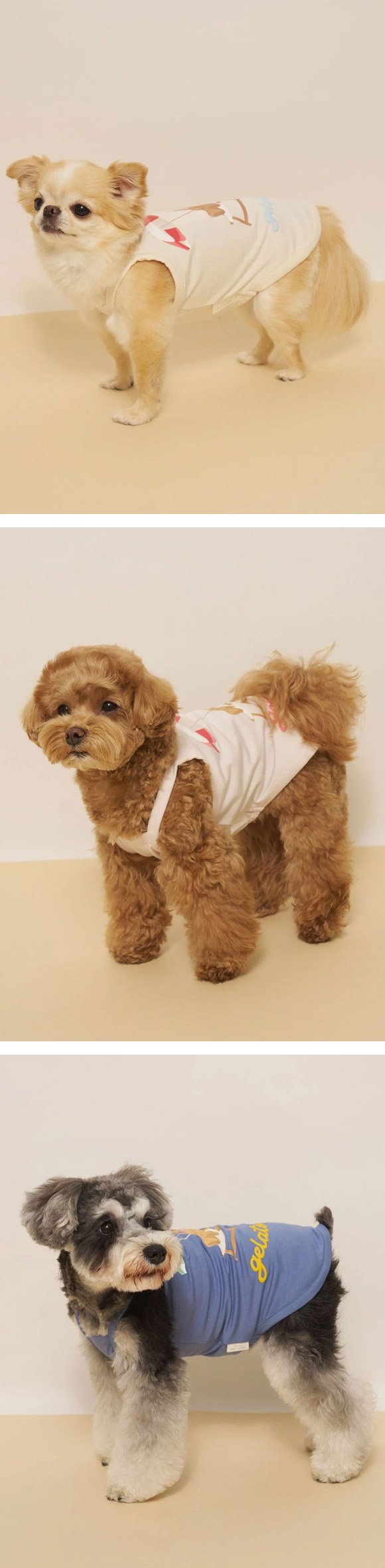 ジェラートピケ CAT&DOG サマーベア柄プルオーバー ジェラピケ gelato pique