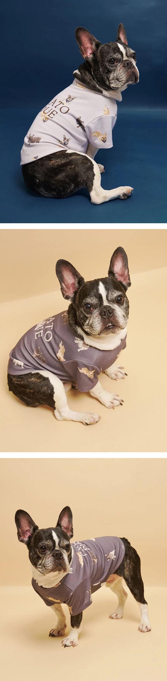 ジェラートピケ CAT&DOG フレンチブルドッグ柄カットソープルオーバー ジェラピケ gelato pique