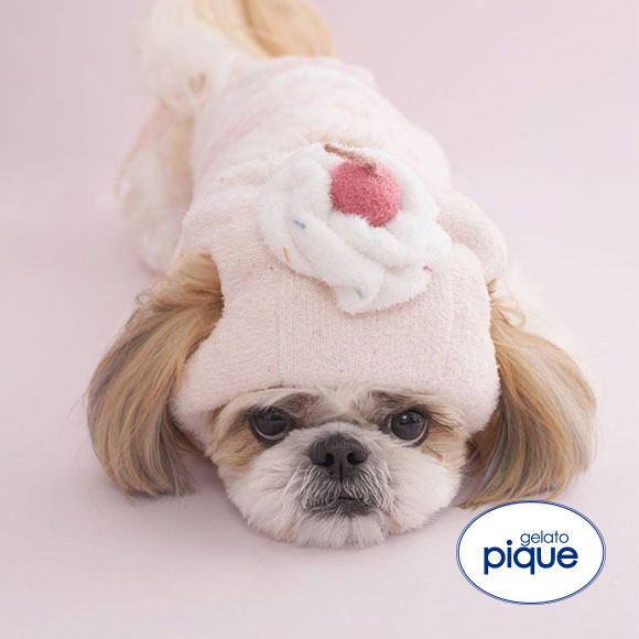 ジェラートピケ CAT&DOG Birthday カップケーキハット ジェラピケ gelato pique