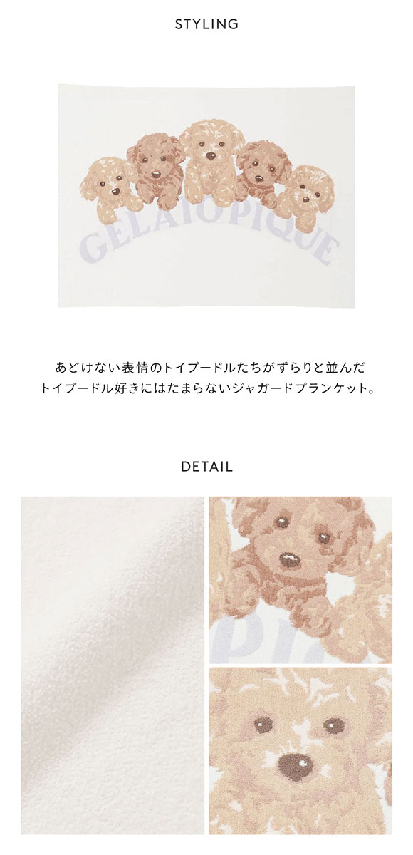 ジェラートピケ トイプードルジャガードブランケット ジェラピケ gelato pique