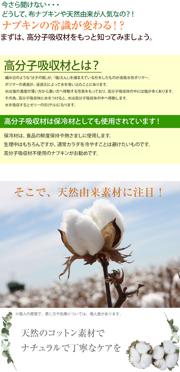 ナチュラムーン Natura Moon 生理用ナプキン 多い日の夜用 羽つき 29cm 10個