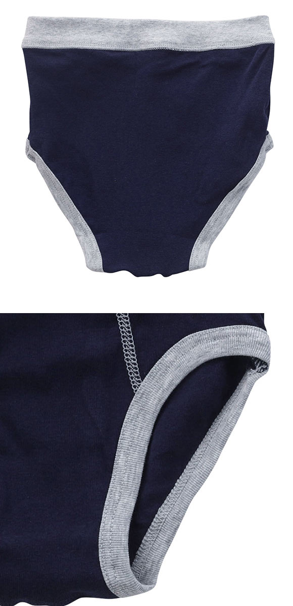 ガローGarau ブリーフ キッズ ジュニア 男の子 5枚セット 110 120 130 140 150 160 170 綿100％ 前あき