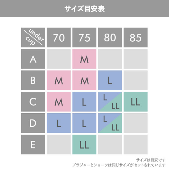 サンエイ サンエイ ビビットフラワー刺繍 ノンワイヤー ブラセット M L LL ブラジャー ショーツ セット 大きいサイズ SANEI