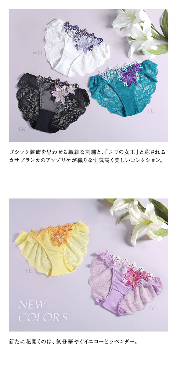 HIMICO 高潔な美しさ漂う Giglio Regina ショーツ スタンダード ML 008series 単品 バックレース