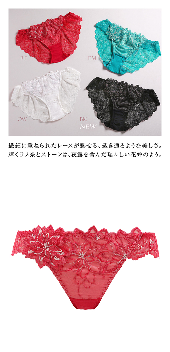 HIMICO 儚く神秘的な Regina della Notte ショーツ スタンダード ML 011series 単品