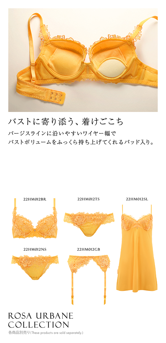 HIMICO 洗練されたモダンな雰囲気 Rosa Urbane ブラジャー BCDEF 012series 単品