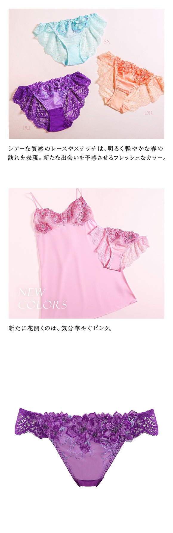 HIMICO ヒミコ ショーツ スタンダード M L バックレース 単品 014series ランジェリー