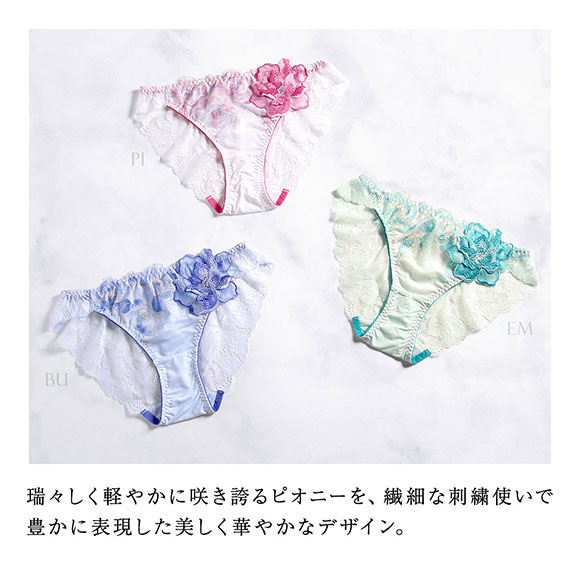 HIMICO ヒミコ ショーツ スタンダード M L バックレース 単品 019series ランジェリー