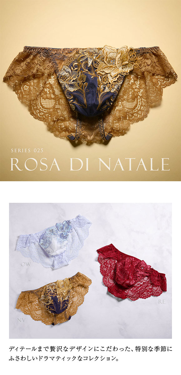 ヒミコ 025シリーズ フルバック パンツ バックレース ビキニ ブリーフ メンズ M L HIMICO