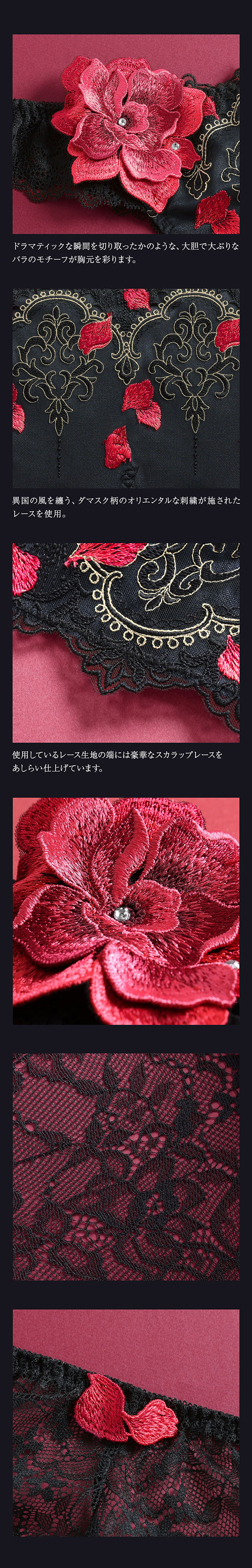 ヒミコ 033シリーズ ショーツ Tバック ソング タンガ M L ランジェリー HIMICO