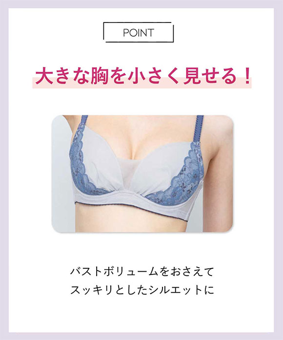 アンフィ 小さく見せるブラ ミニマイザーブラ ブラジャー DEFG 大きいサイズ BOG305 AMPHI