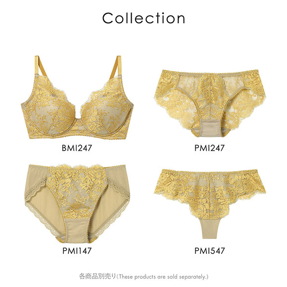 アンフィ ブラジェニック ペアショーツ 総レース BMI247シリーズ AMPHI BRAGENIC