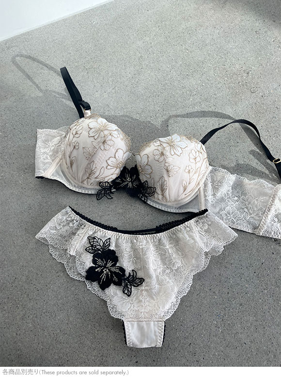 アンフィ ホールドデイブラ ペアショーツ ノーマル BYJ396シリーズ AMPHI Hold Day Bra