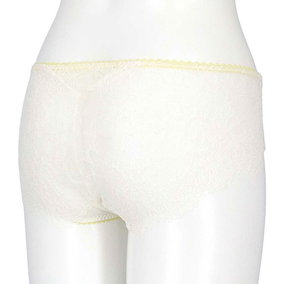 アンフィ グラマリッチ ペアショーツ ボーイレングス バックレース BYJ395シリーズ AMPHI