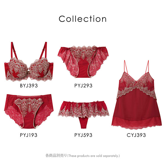 アンフィ ホールドデイブラ Tバックショーツ ソング BYJ393シリーズ AMPHI Hold Day Bra