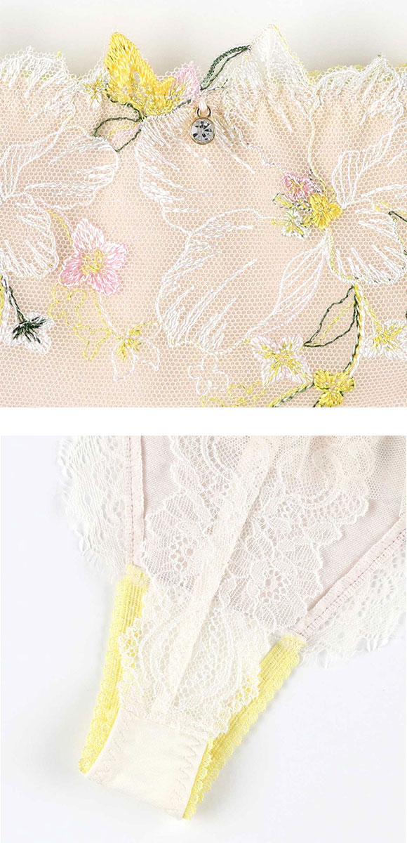 アンフィ グラマリッチ ペアショーツ Tバックショーツ バックレース チュール BYJ395シリーズ AMPHI