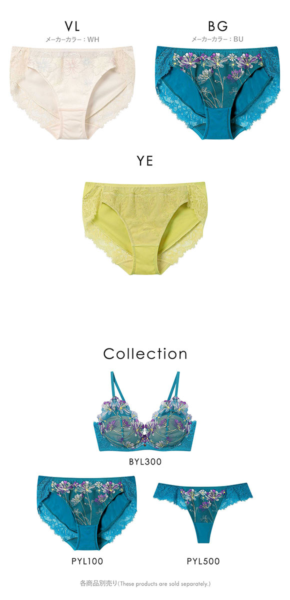 アンフィ ブラレット ペアショーツ スタンダード AMPHI BYL300シリーズ