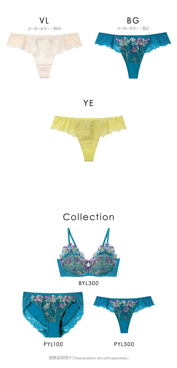 アンフィ ブラレット ペアショーツ Tバックショーツ AMPHI BYL300シリーズ