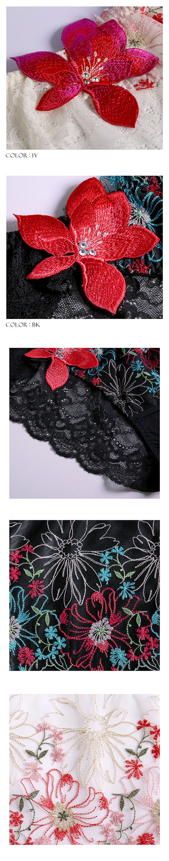 ARTE 002シリーズ ショーツ スタンダード M L バックレース ランジェリー