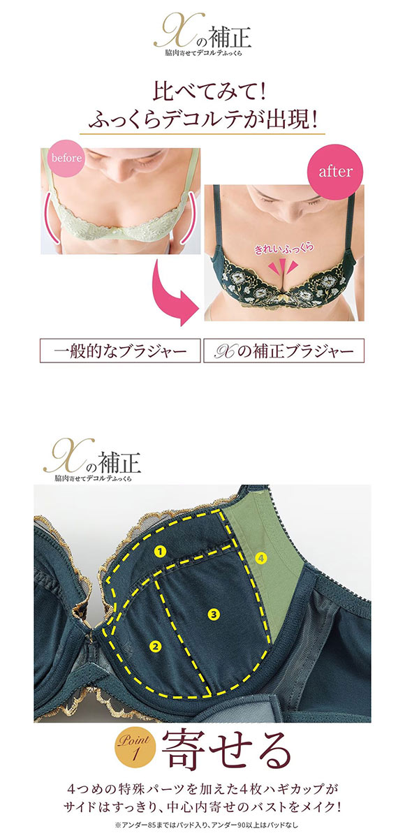 【ニッセンとトリンプ共同企画】Xの補正 スリムパネルキレイなシルエットつくるブラジャー ABCD