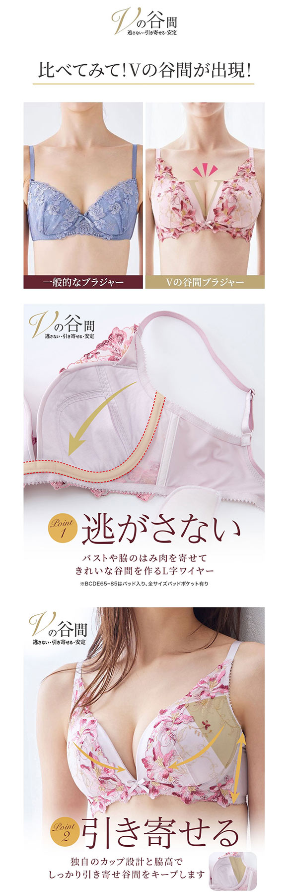 【ニッセンとトリンプ共同企画】Vの谷間 Vにバストをひき寄せるブラジャー EF