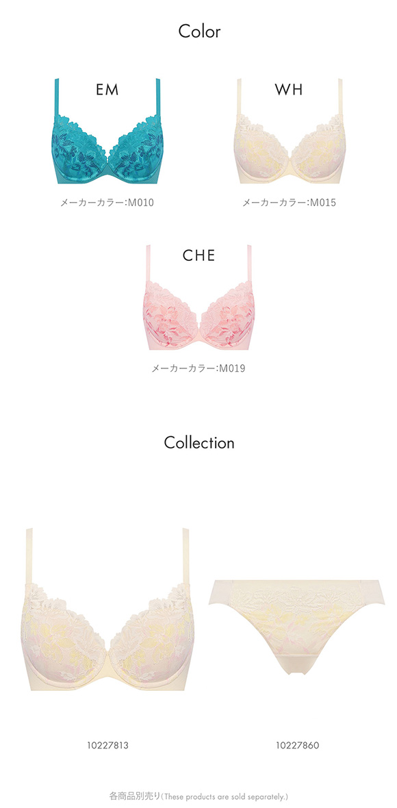 トリンプ TR648 秘めわざ レースタイプ ブラジャー コンフォートワイヤー DEF 大きいサイズ Triumph