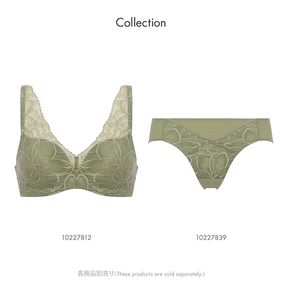 トリンプ TR649 秘めわざ レギュラーショーツ LL 大きいサイズ Triumph