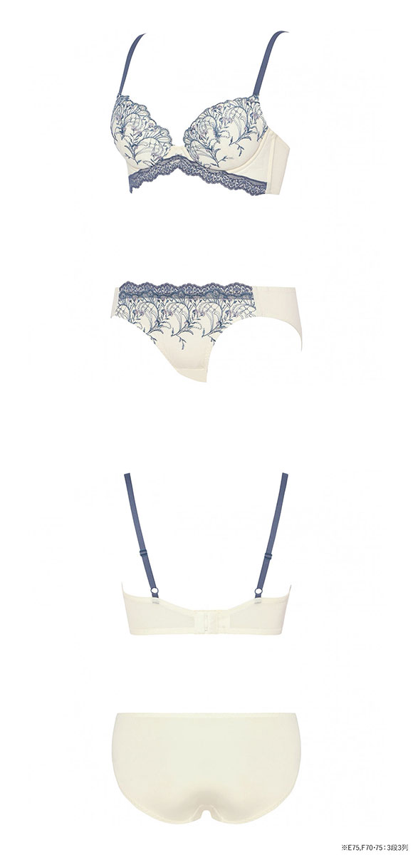 アモスタイル 脇高ブラ AMST1529 ボタニカルモザイク ブラセット ブラジャー ショーツ セット EF 大きいサイズ AMOSTYLE