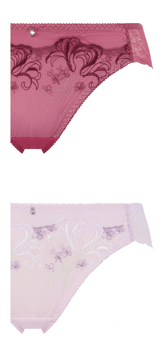 アモスタイル AMST1538 ウィンターリリー レギュラーショーツ AMOSTYLE