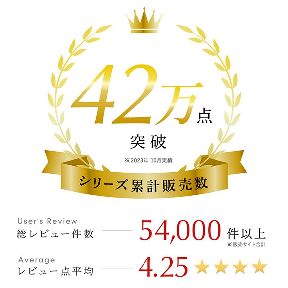 ブラジャー ショーツ セット 3点 中身が見える福袋 GHI 大きいサイズ グラマーサイズ ブラセット 下着 レディース