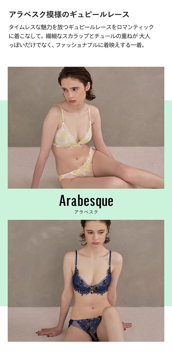 Arabesque アラベスク ショーツ Tバック バックレース M 単品 LA VIE A DEUX ラヴィアドゥ DOMESTIC UNDER