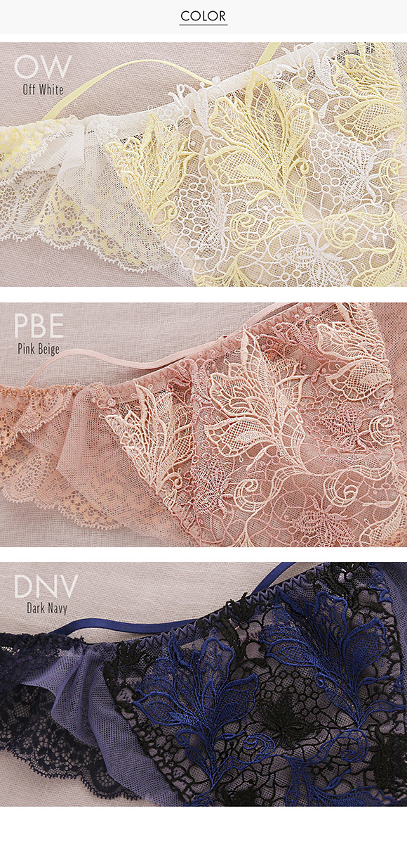 Arabesque アラベスク ショーツ Tバック バックレース M 単品 LA VIE A DEUX ラヴィアドゥ DOMESTIC UNDER