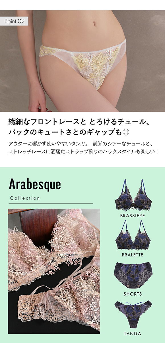 Arabesque アラベスク ショーツ Tバック バックレース M 単品 LA VIE A DEUX ラヴィアドゥ DOMESTIC UNDER