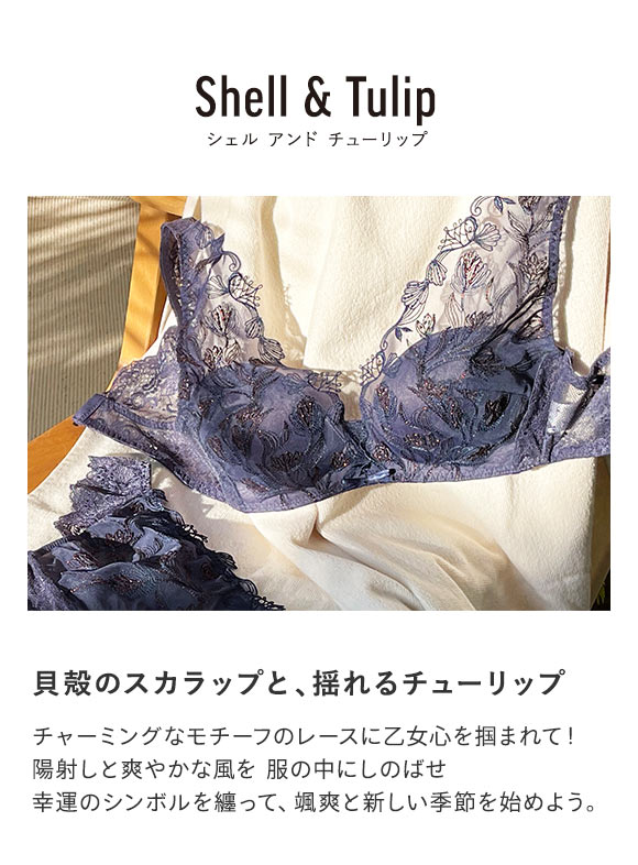 Shell & Tulip シェル＆チューリップ ショーツ Tバック バックレース ML 単品 LA VIE A DEUX ラヴィアドゥ mignon