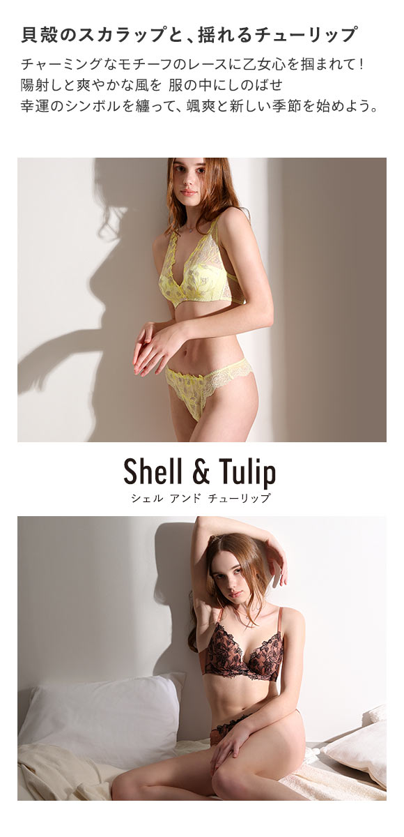 Shell & Tulip シェル＆チューリップ ショーツ Tバック バックレース ML 単品 LA VIE A DEUX ラヴィアドゥ mignon