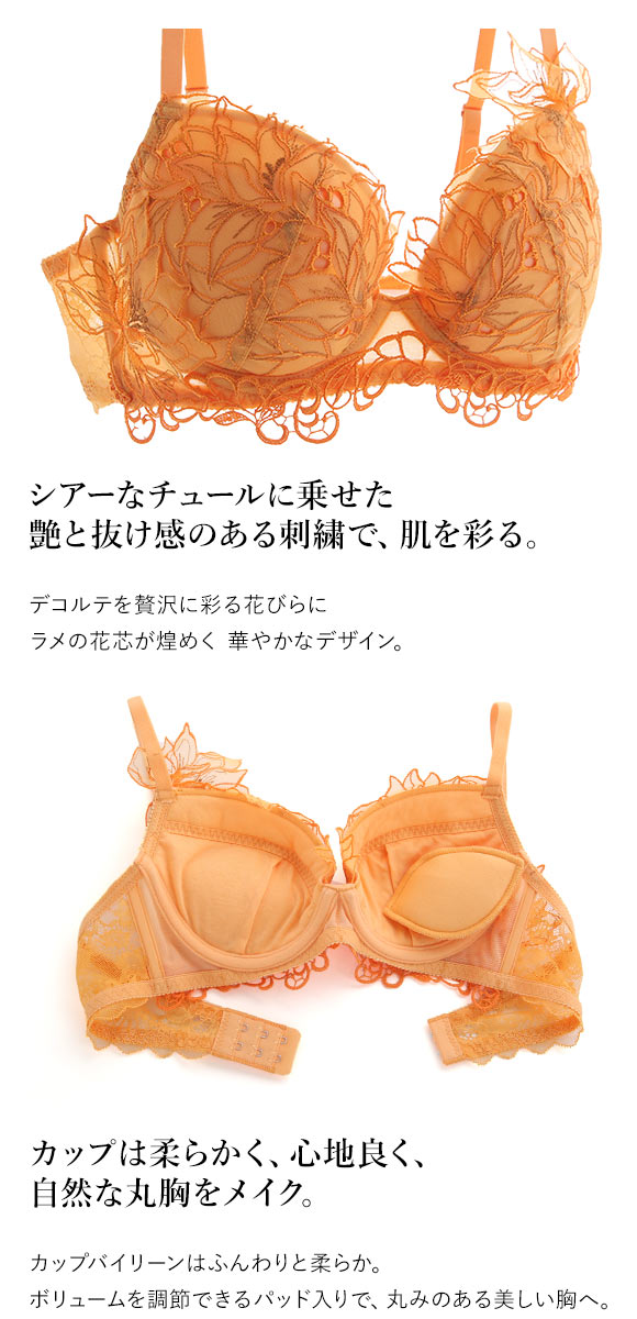 モンシェルピジョン Mon cher pigeon ティアム TIAM 02 ブラジャー BCDEF 大きいサイズ 単品 抜け感レース 総レース