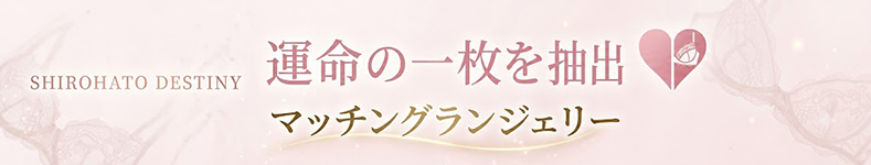 マッチングランジェリー♡お気に入りをスワイプ