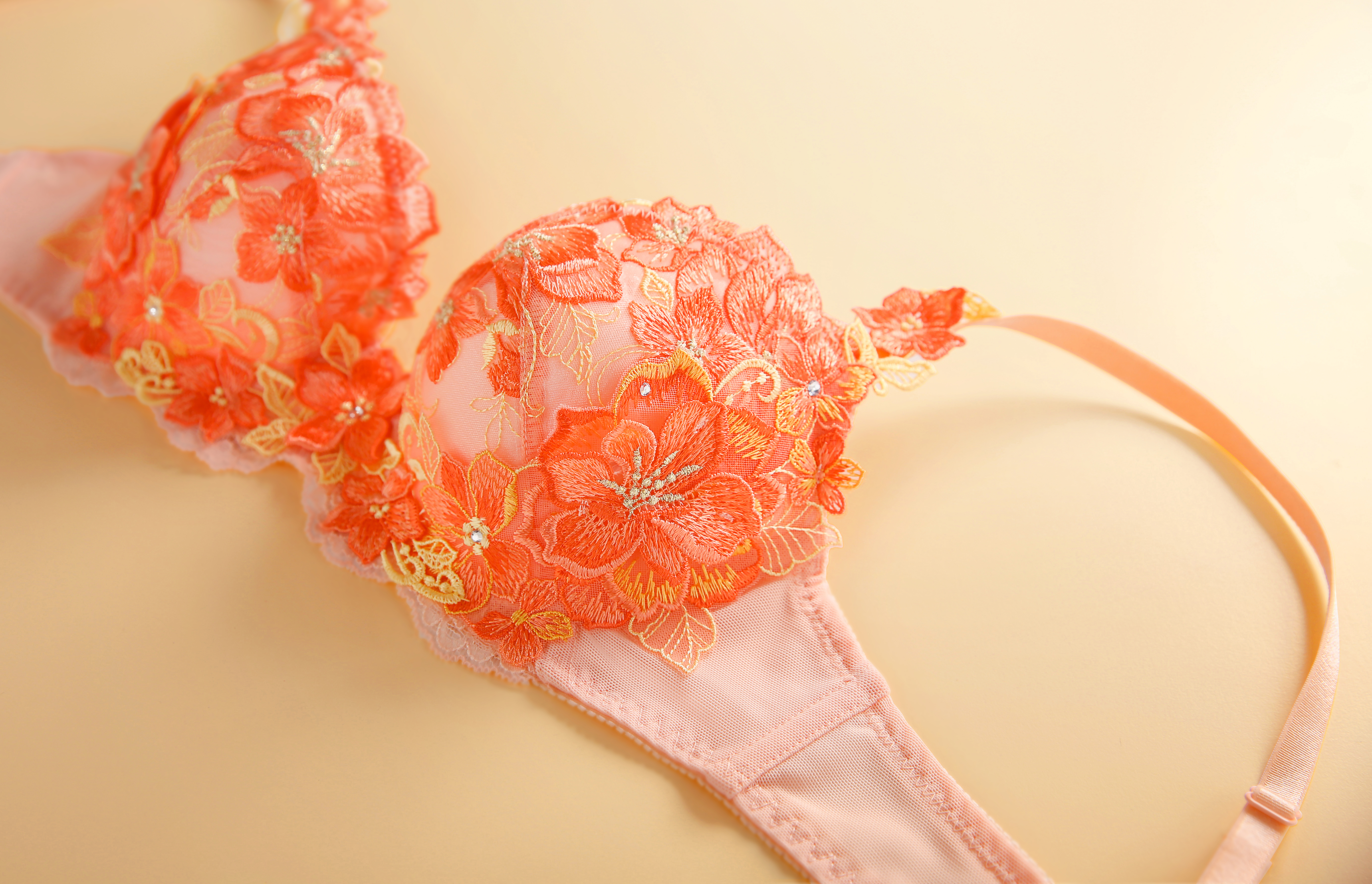  >HIMICO ブラジャー